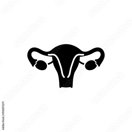 Uterus with Fallopian Tubes and Ovaries Female Reproductive Anatomy Image