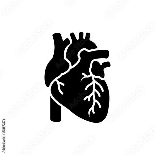 Vena Cava Vein Entering Heart Cardiovascular Anatomy Icon