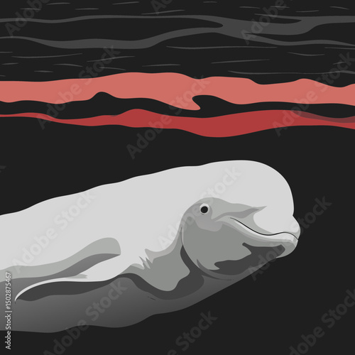 Minimalist vector illustration of a beluga whale, showcasing its smooth curves and serene expression.