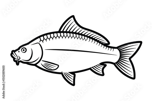 Common Carp Outline Art & Illustration