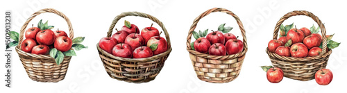 Watercolor set of baskets with red apples. Wicker basket filled with red apples and leaves from an apple tree. Autumn and harvest concept. Thanksgiving concept, autumn elements.
