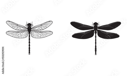 Dragonfly silhouette. Glyph icon of insect, simple shape of damselfly. Black vector illustration on white. Perfect for decoration, carving, design.