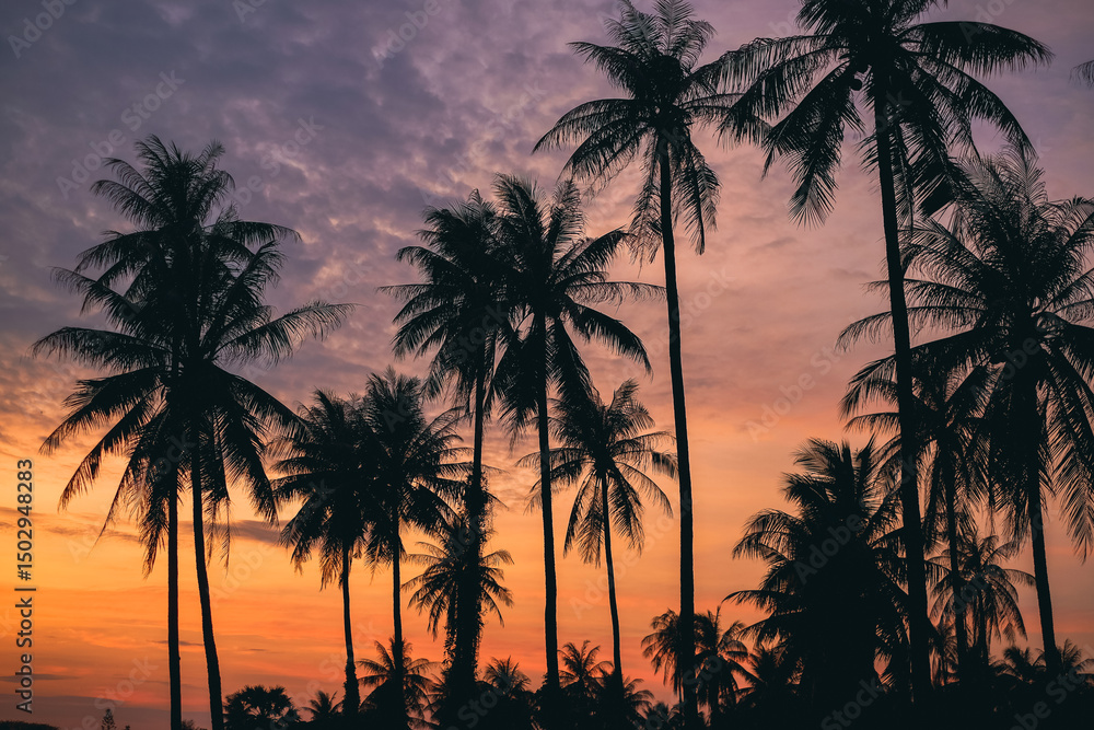 Naklejka premium sunset over the sea