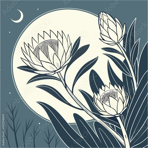 backgrounds, horizontal, no people, photography, springtime, color image, germany, tulip, beauty in nature, flower, flower arrangement, leaf, nature, red, web banner, green color, pink color, border -