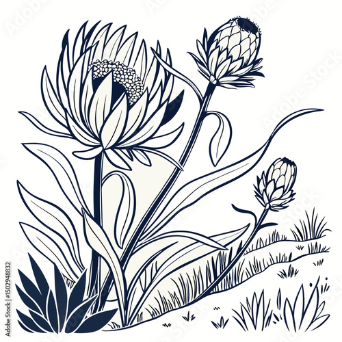 backgrounds, horizontal, no people, photography, springtime, color image, germany, tulip, beauty in nature, flower, flower arrangement, leaf, nature, red, web banner, green color, pink color, border -