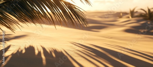 Wallpaper Mural Desert Palm Shadows Torontodigital.ca