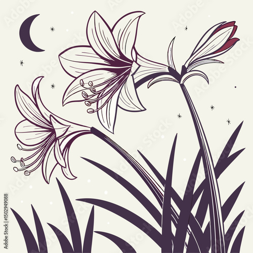 backgrounds, horizontal, no people, photography, springtime, color image, germany, tulip, beauty in nature, flower, flower arrangement, leaf, nature, red, web banner, green color, pink color, border -