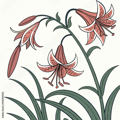 backgrounds, horizontal, no people, photography, springtime, color image, germany, tulip, beauty in nature, flower, flower arrangement, leaf, nature, red, web banner, green color, pink color, border -