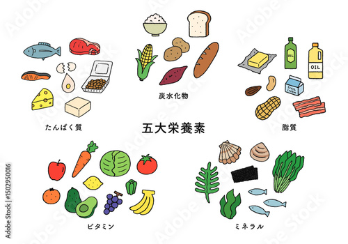 五大栄養素の食品 手描きイラストセット