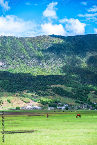 Horses Grazing in a Mountain - Faced Meadow