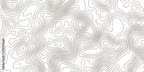  Topography wave line grid map. white wave line geography landscape Topo contour map on white background. Geographic mountain relief diagram line wave carve pattern.