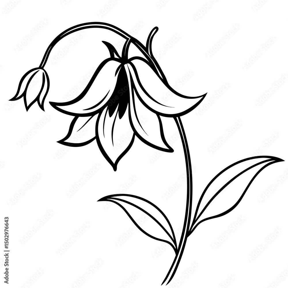 bellflower bellflower