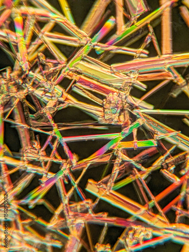 Cuadro en lienzo Needle-like crystals under polarized microscope showing vivid birefringence
