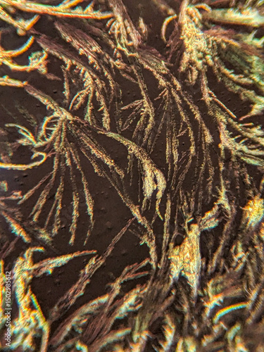 Schilderij op canvas Needle-like crystals under polarized microscope showing vivid birefringence