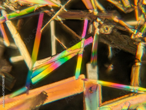 Bild auf Leinwand Needle-like crystals under polarized microscope showing vivid birefringence