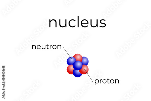 illustration of nucleus with proton and elektron with name
