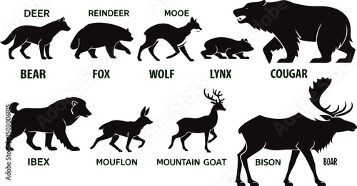 Canvas Print A detailed vector illustration of various wild forest animals in black silhouette style on a white background