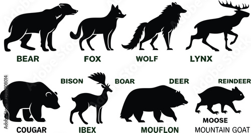 Canvas Print A detailed vector illustration of various wild forest animals in black silhouette style on a white background