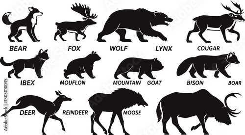 Canvas Print A detailed vector illustration of various wild forest animals in black silhouette style on a white background
