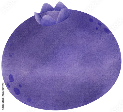 Watercolor Blueberry 