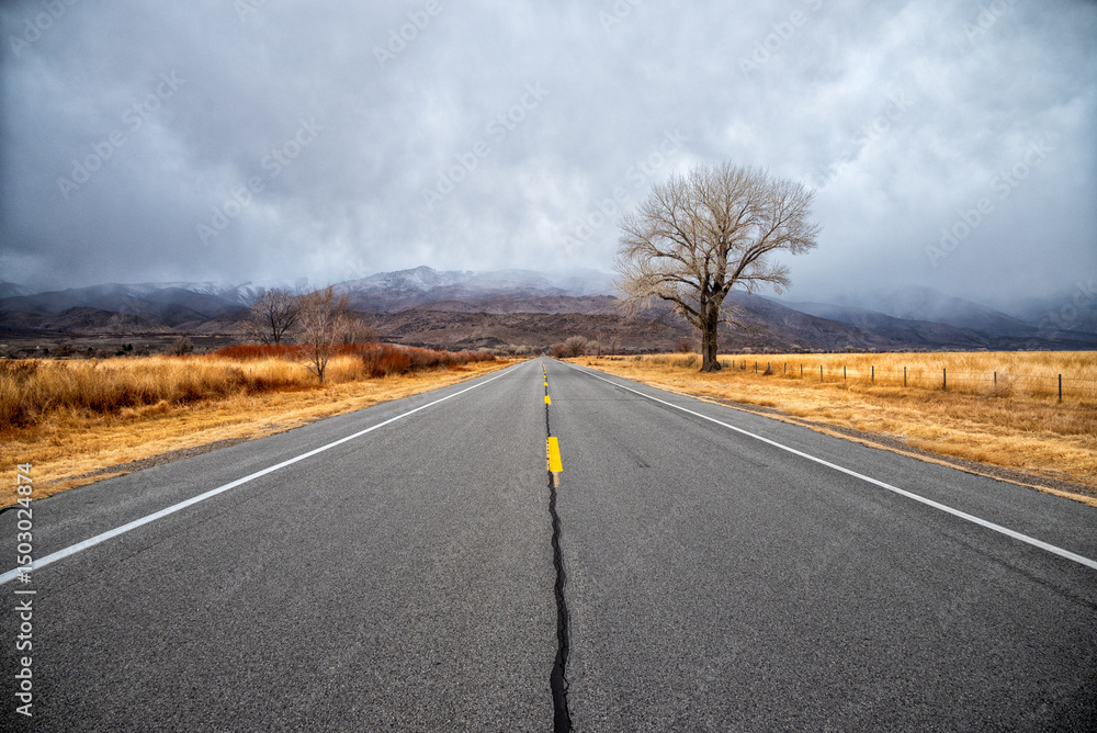 Fototapeta premium road in autumn