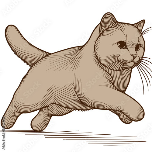 Elegant British Shorthair Cat in Motion: A Vintage Line Art Illustration