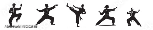 vector silhouette of a shaolin kungfu