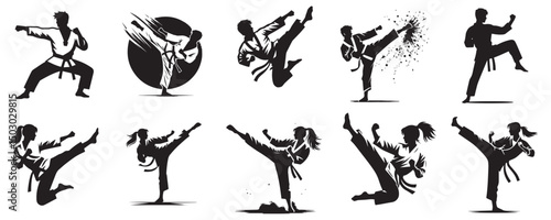 silhouette vector of a karate