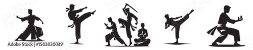 vector silhouette of a person practicing martial arts