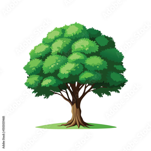 Lush Green Oak Tree with Dense Foliage