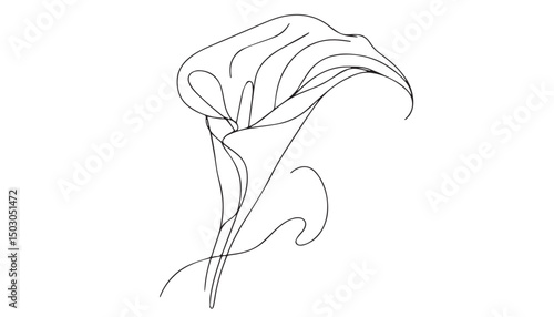 Continuous one single minimal line drawing Calla Lily