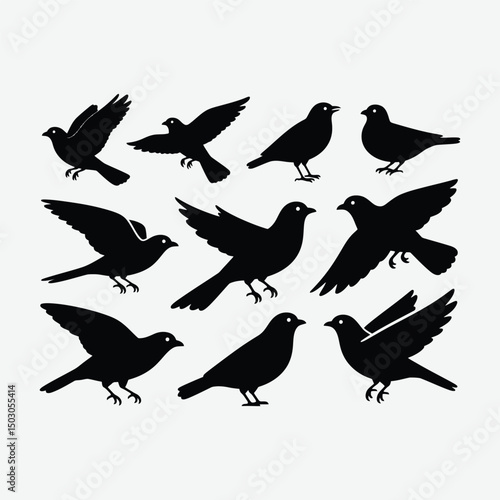Download a versatile collection of black bird silhouettes and vector bird icons. Includes simple bird symbols, outlines, and minimalistic bird illustrations in black and white — perfect for logos.