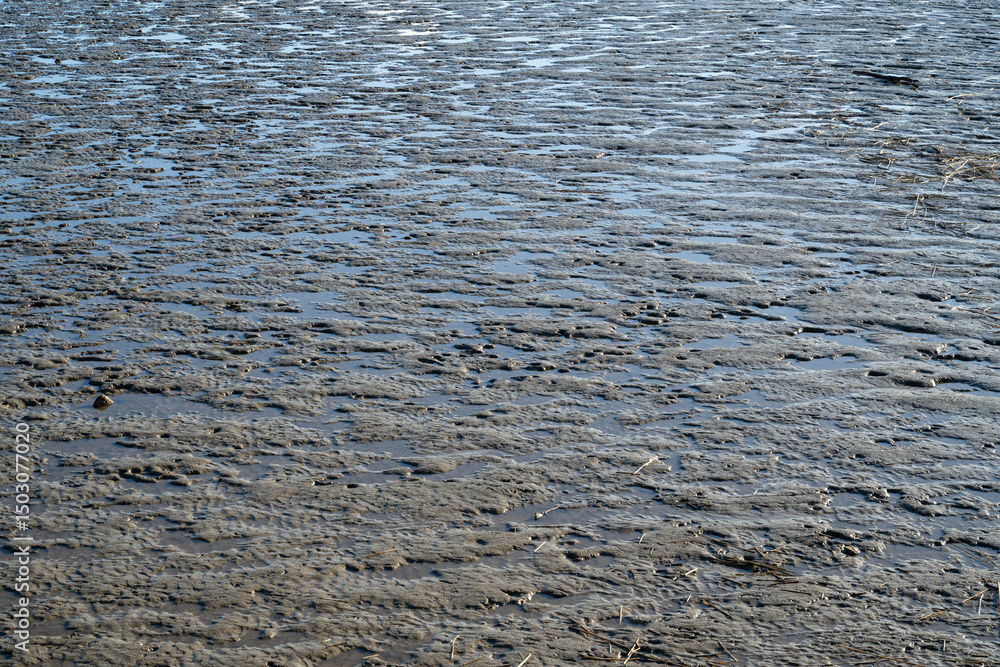 Niedrigwasser, Deutschland, Europa Niedrigwasser, Deutschland, Europa