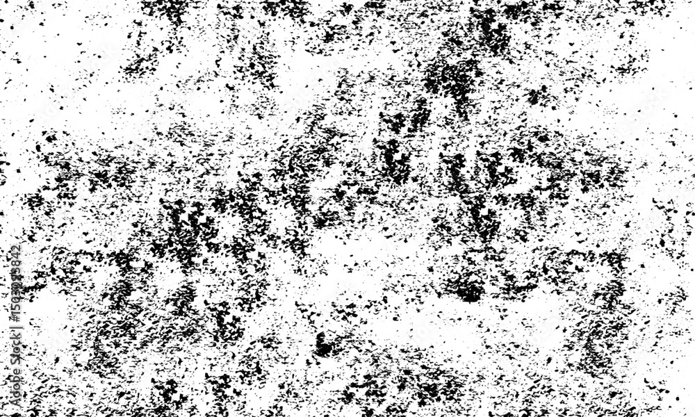 Fototapeta premium Abstract Black and White Noise Texture