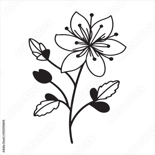 Wallpaper Mural Meadow Rue – Soft Pastel Wildflowers for Natural Elegance and Botanical Art Torontodigital.ca