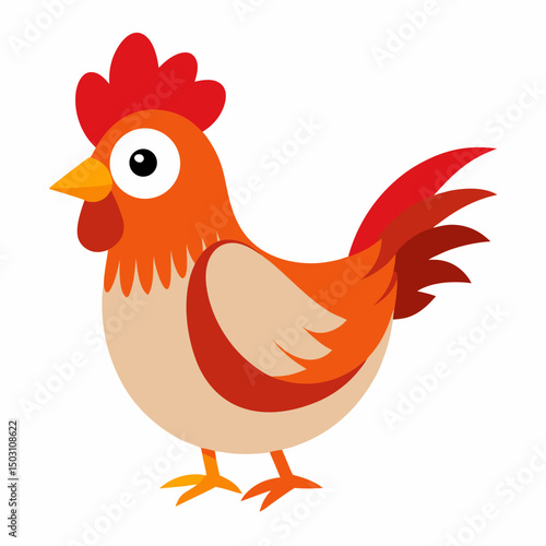 cute farm chicken