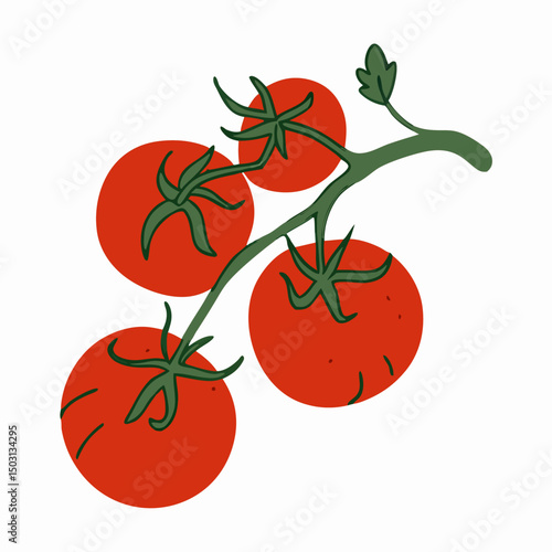 Fresh Red Tomatoes on the Vine Illustration