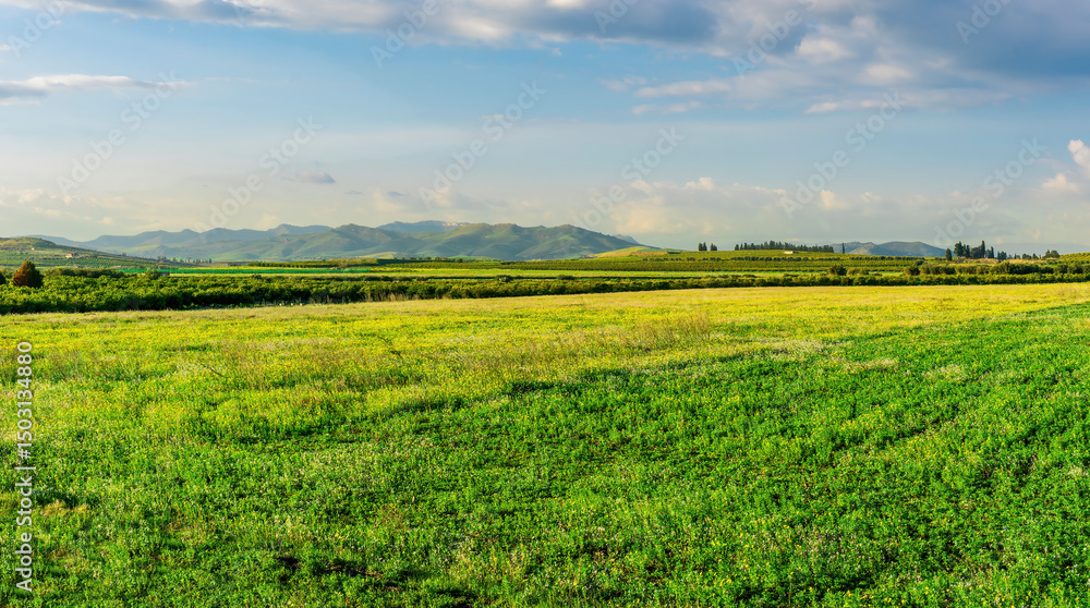 Scenic view at beautiful spring or summer sunset in a shiny meadow with golden grass and sun rays, deep beautiful cloudy sky and road, valley landscape Scenic view at beautiful spring or summer sunset in a shiny meadow with golden grass and sun rays, deep beautiful cloudy sky and road, valley landscape