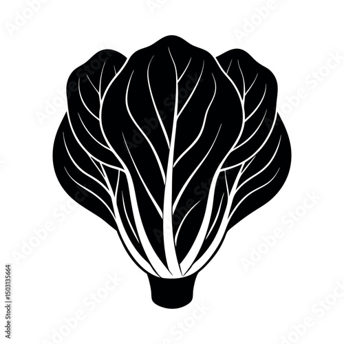 bok choy vector silhouette
