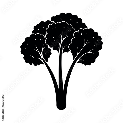 broccoli rabe rapini