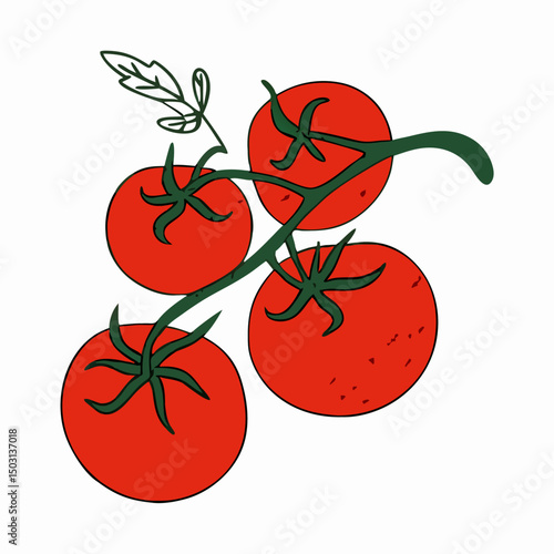 Fresh Red Tomatoes on the Vine Illustration