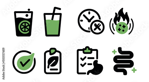 Two-Color vector icons of detox and recovery: detox water, green juice, fasting window, inflammation icon. Toxin-free label, cleanse plan, digestion icon, gut health.