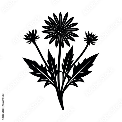 Wallpaper Mural chicory black white vector silhouette Torontodigital.ca