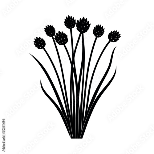 chives black white vector silhouette