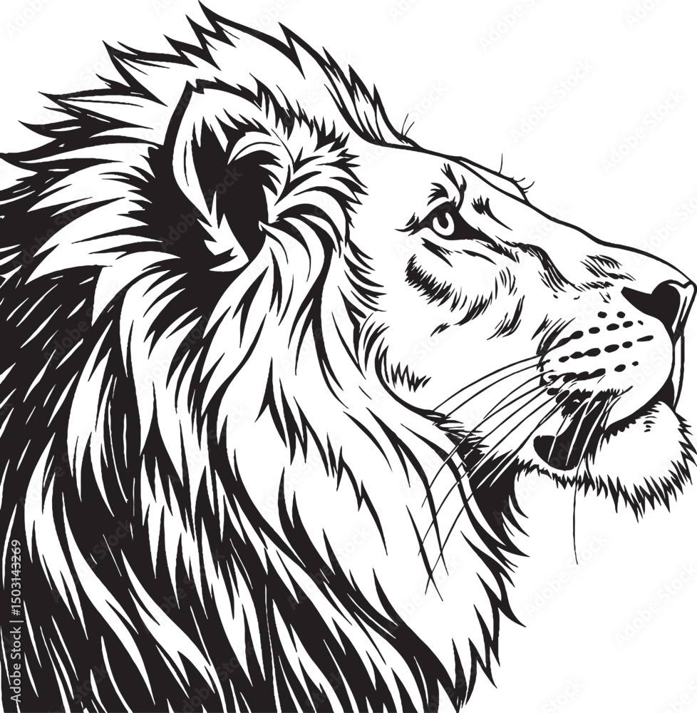 Obraz premium A black & white lion vector 