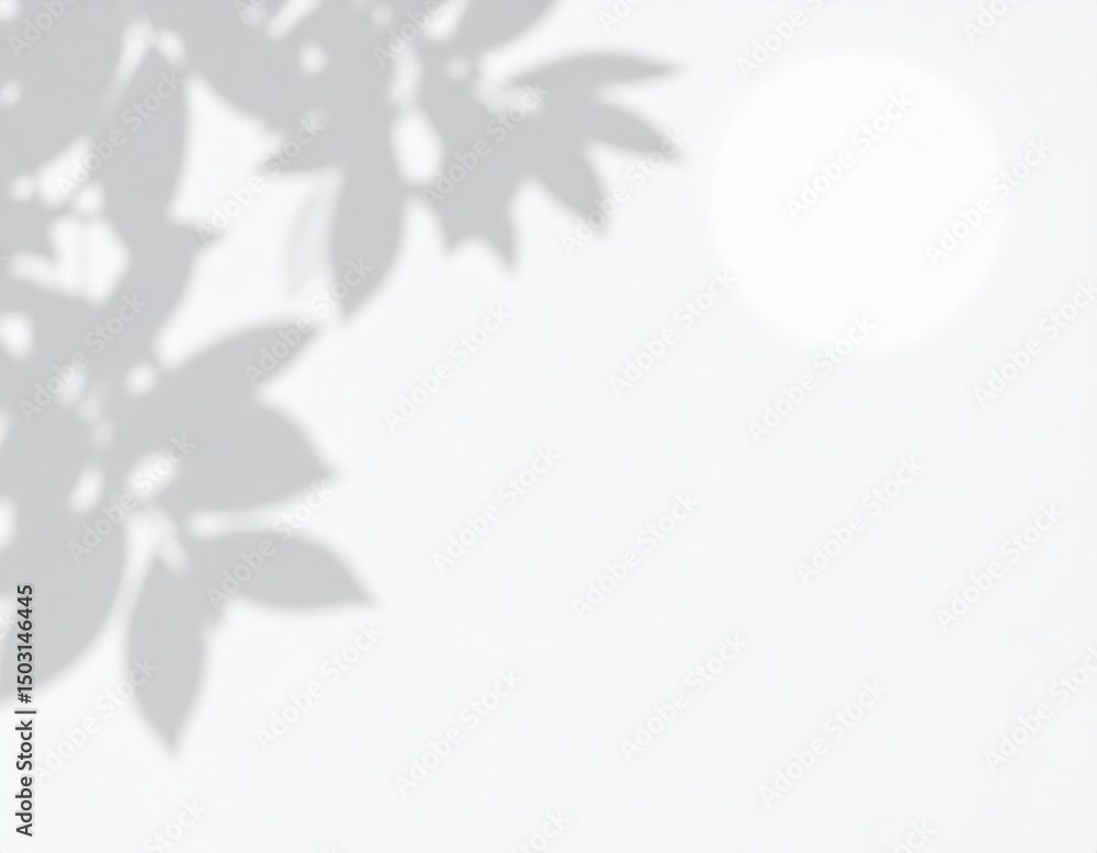 Delicate Leaf Shadows and Soft Sunlight on a White Textured Surface