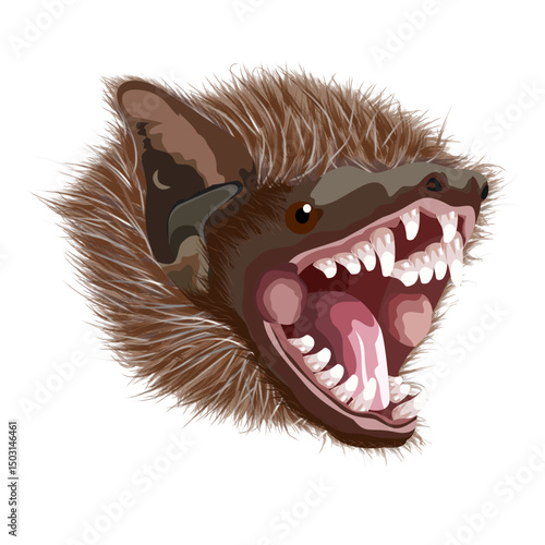 LESSER ASIATIC YELLOW BAT (Scotophilus kuhlii).Head of the Southeast Asia bat species illustration collection (vector illustration)