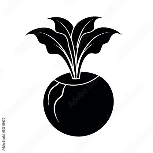 kohlrabi black white vector silhouette