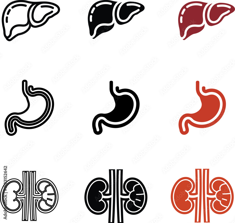 Medical Organ Icon Set – Liver, Stomach, Kidney in Line, Solid & Color Styles | Anatomy, Health Vectors Medical Organ Icon Set – Liver, Stomach, Kidney in Line, Solid & Color Styles | Anatomy, Health Vectors