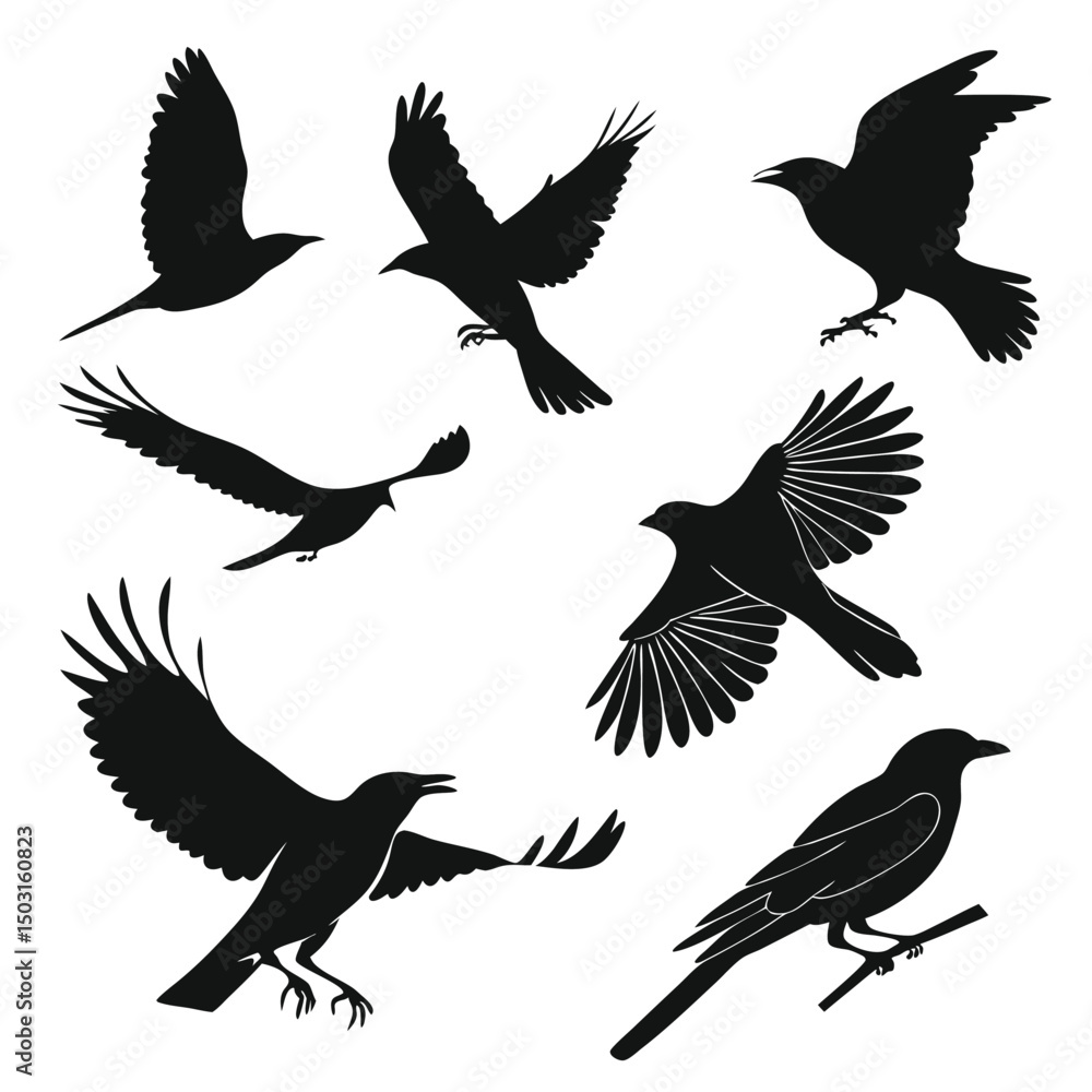 Fototapeta premium Minimalist Vector Illustration Featuring Various Birds with Clean Lines and Simple Modern Design